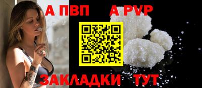 скорость Кингисепп