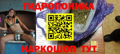 spice Кимры