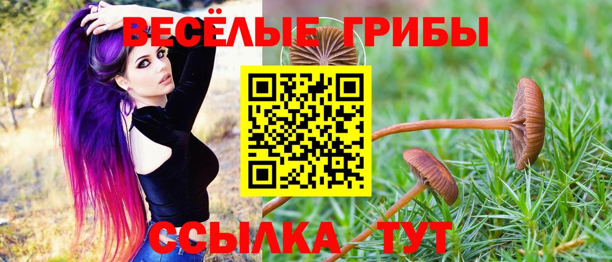 Псилоцибиновые грибы GOLDEN TEACHER  Галлюциногенные грибы Psilocybe  Вход с VPN  купить наркотики сайты  Кизилюрт 