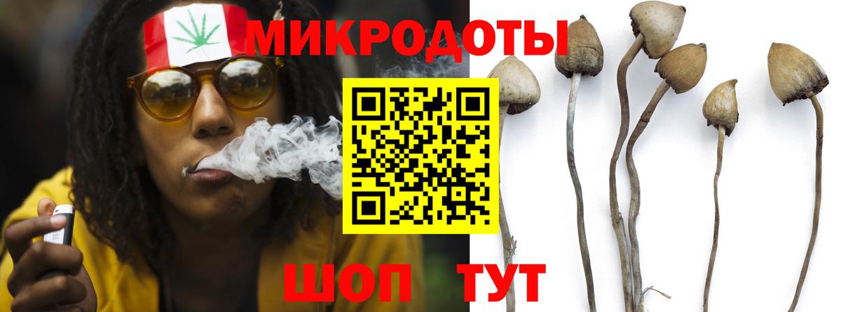 Псилоцибиновые грибы прущие грибы Кизилюрт